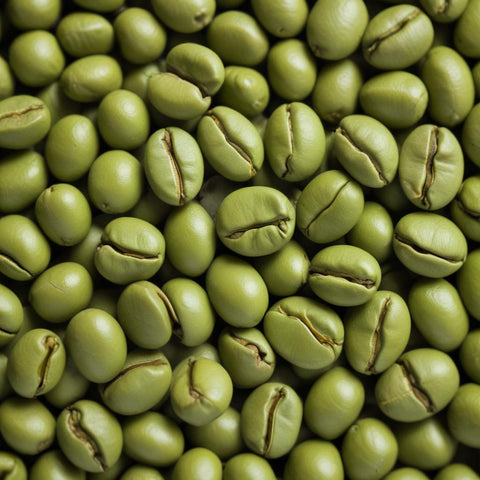 Caffè verde fermentato